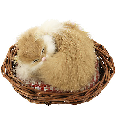 Кошка спящая в корзине C254-t Подарки, сувениры, оригинальные решения Petz 2010 г ; Упаковка: коробка инфо 249j.