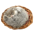 Кошка спящая в корзине C254-gy Подарки, сувениры, оригинальные решения Petz 2010 г ; Упаковка: коробка инфо 250j.