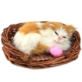 Спящий котенок в корзинке C302-d Подарки, сувениры, оригинальные решения Petz 2010 г ; Упаковка: коробка инфо 253j.