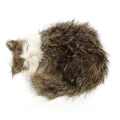 Спящий котенок С238-bw Подарки, сувениры, оригинальные решения Petz 2010 г ; Упаковка: коробка инфо 254j.