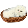 Котенок в корзинке CM187-bw Подарки, сувениры, оригинальные решения Petz 2010 г ; Упаковка: коробка инфо 256j.