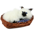 Котенок в корзинке CM187-s Подарки, сувениры, оригинальные решения Petz 2010 г ; Упаковка: коробка инфо 257j.