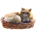 Котенок в корзинке CM187-t Подарки, сувениры, оригинальные решения Petz 2010 г ; Упаковка: коробка инфо 258j.
