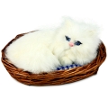 Котенок в корзинке CM187-w Подарки, сувениры, оригинальные решения Petz 2010 г ; Упаковка: коробка инфо 259j.