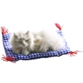 Котенок на коврике C189-bw Подарки, сувениры, оригинальные решения Petz 2010 г ; Упаковка: коробка инфо 261j.