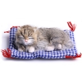 Котенок на коврике C189-gy Подарки, сувениры, оригинальные решения Petz 2010 г ; Упаковка: коробка инфо 262j.