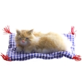 Котенок на коврике C189-t Подарки, сувениры, оригинальные решения Petz 2010 г ; Упаковка: коробка инфо 263j.