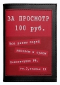 Обложка на паспорт "За просмотр - 100 рублей" 14 см Автор: Дмитрий Михайлов инфо 4105b.