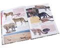 1500 самых удивительных животных Серия: Мир энциклопедий Аванта + инфо 10340e.